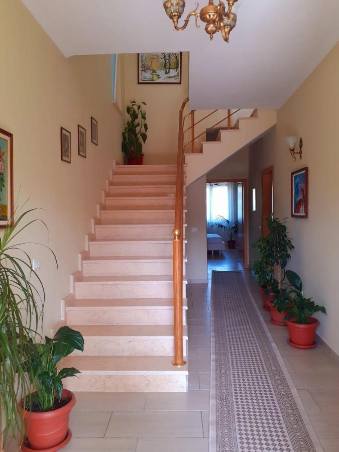 Guest House Zadeja Shkoder Exterior photo