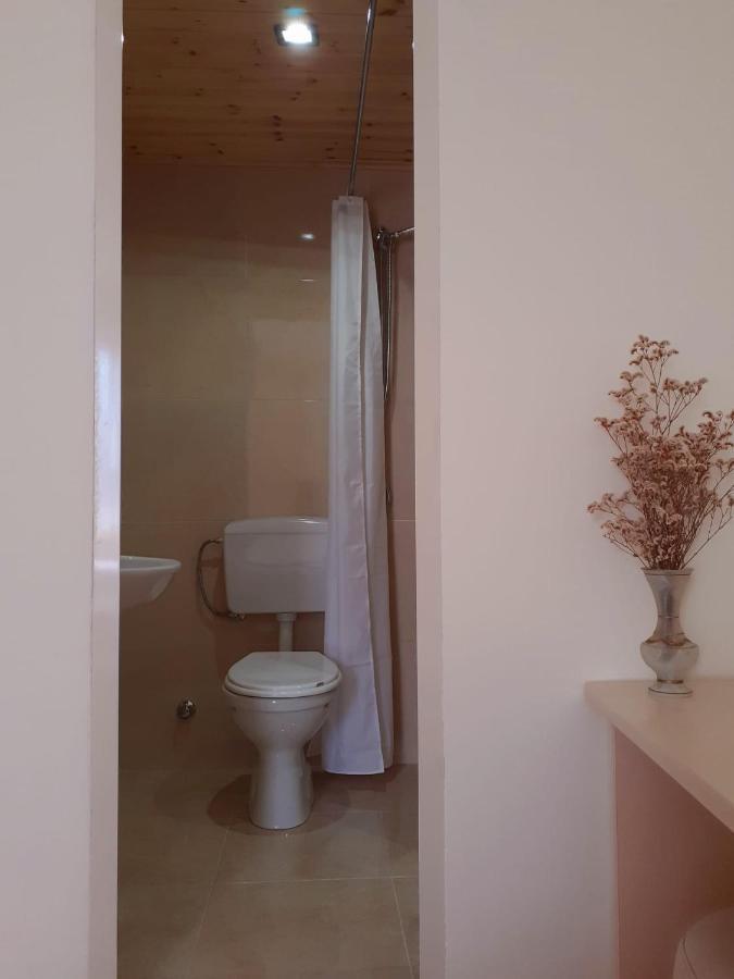 Guest House Zadeja Shkoder Exterior photo