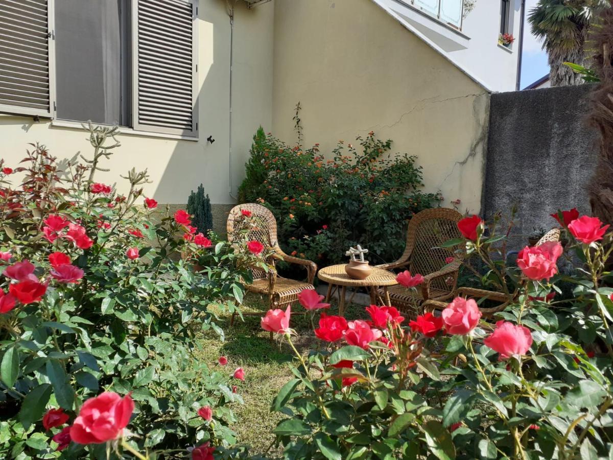 Guest House Zadeja Shkoder Exterior photo